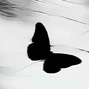 ｛ MEmento·MORI=国语 ｝