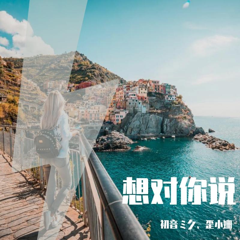 想对你说（初音ミク）封面