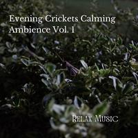 Relax Music: Evening Crickets Calming Ambience Vol. 1