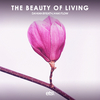 Damian Breath - The Beauty Of Living