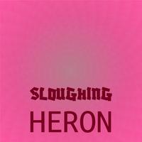 Sloughing Heron