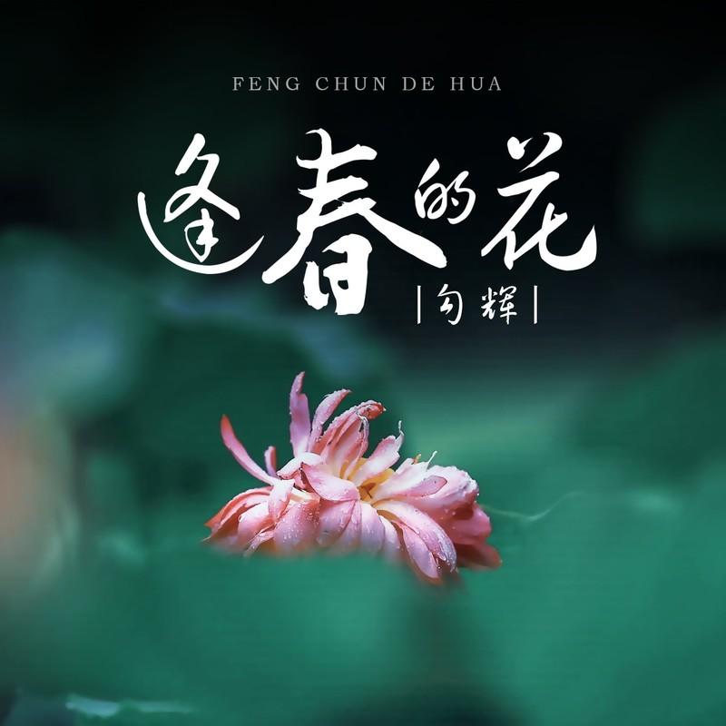 逢春的花封面