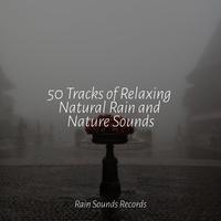 50 Tracks of Relaxing Natural Rain and Nature Sounds