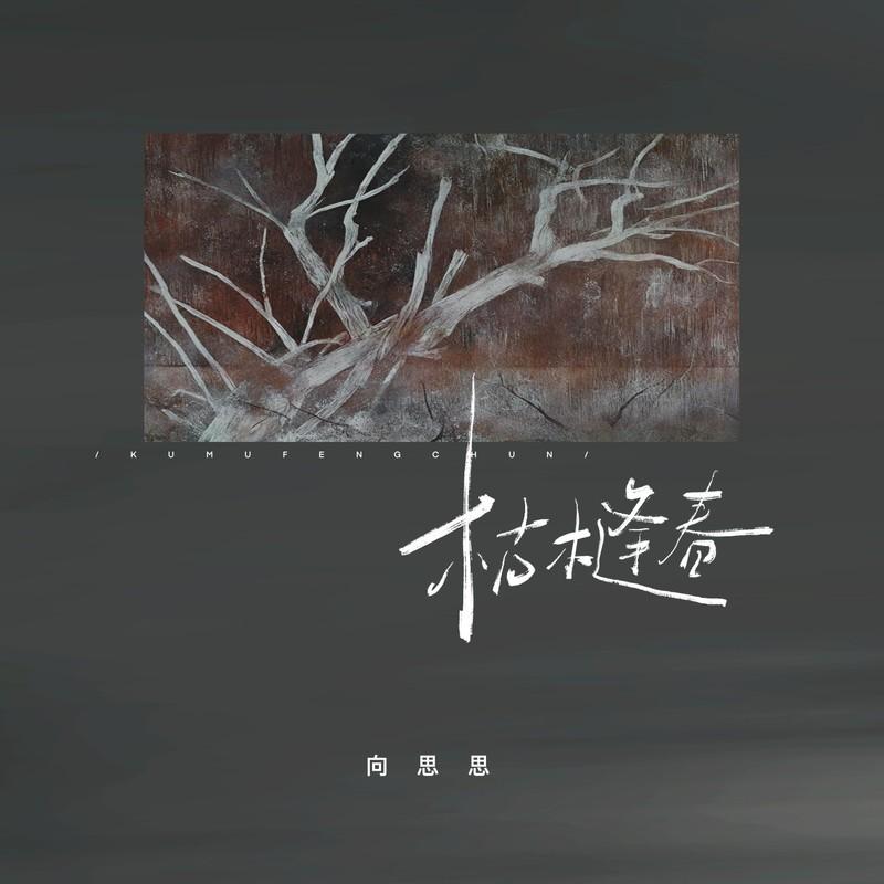 枯木逢春（相逢的人会再相逢） - 向思思封面