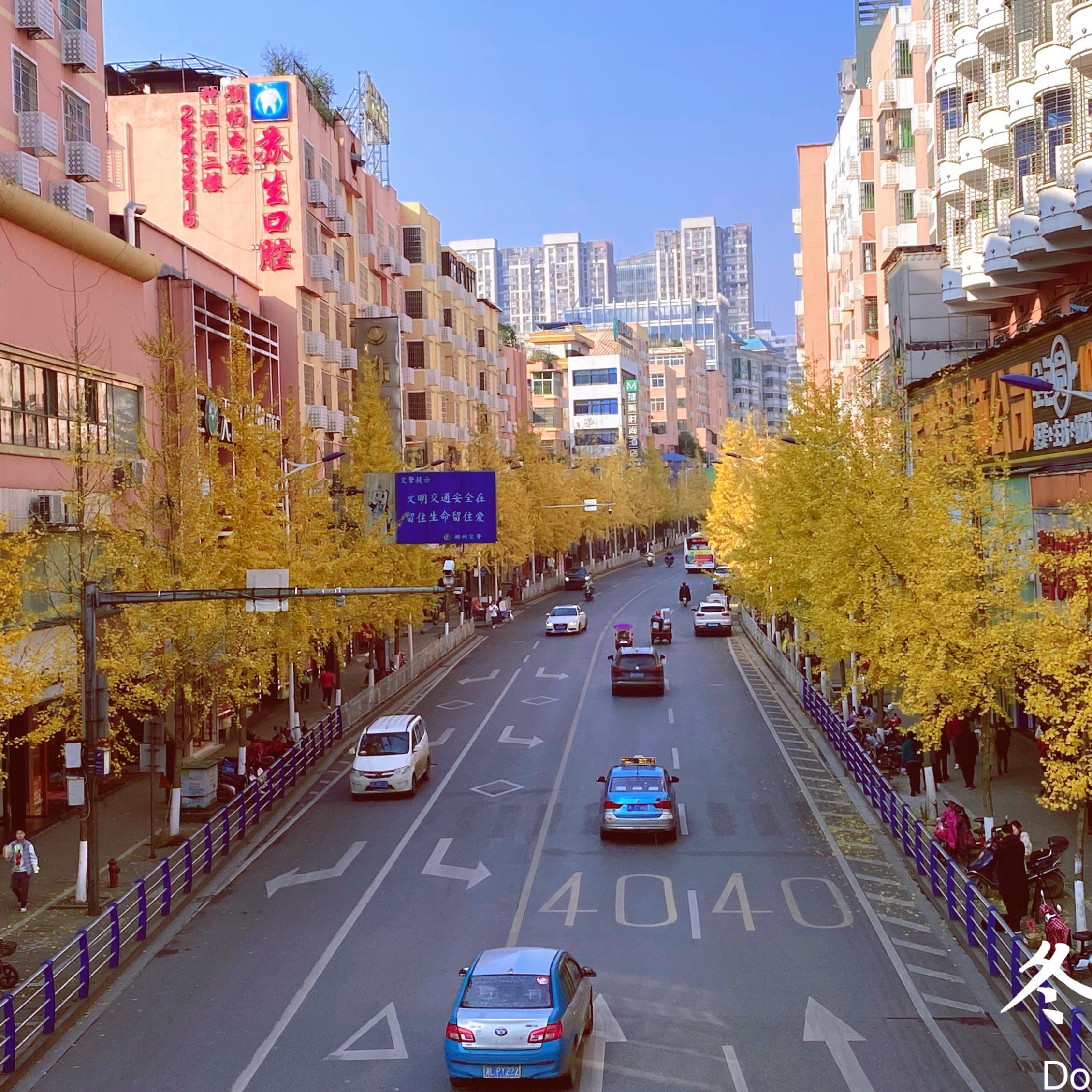 为爱启程封面