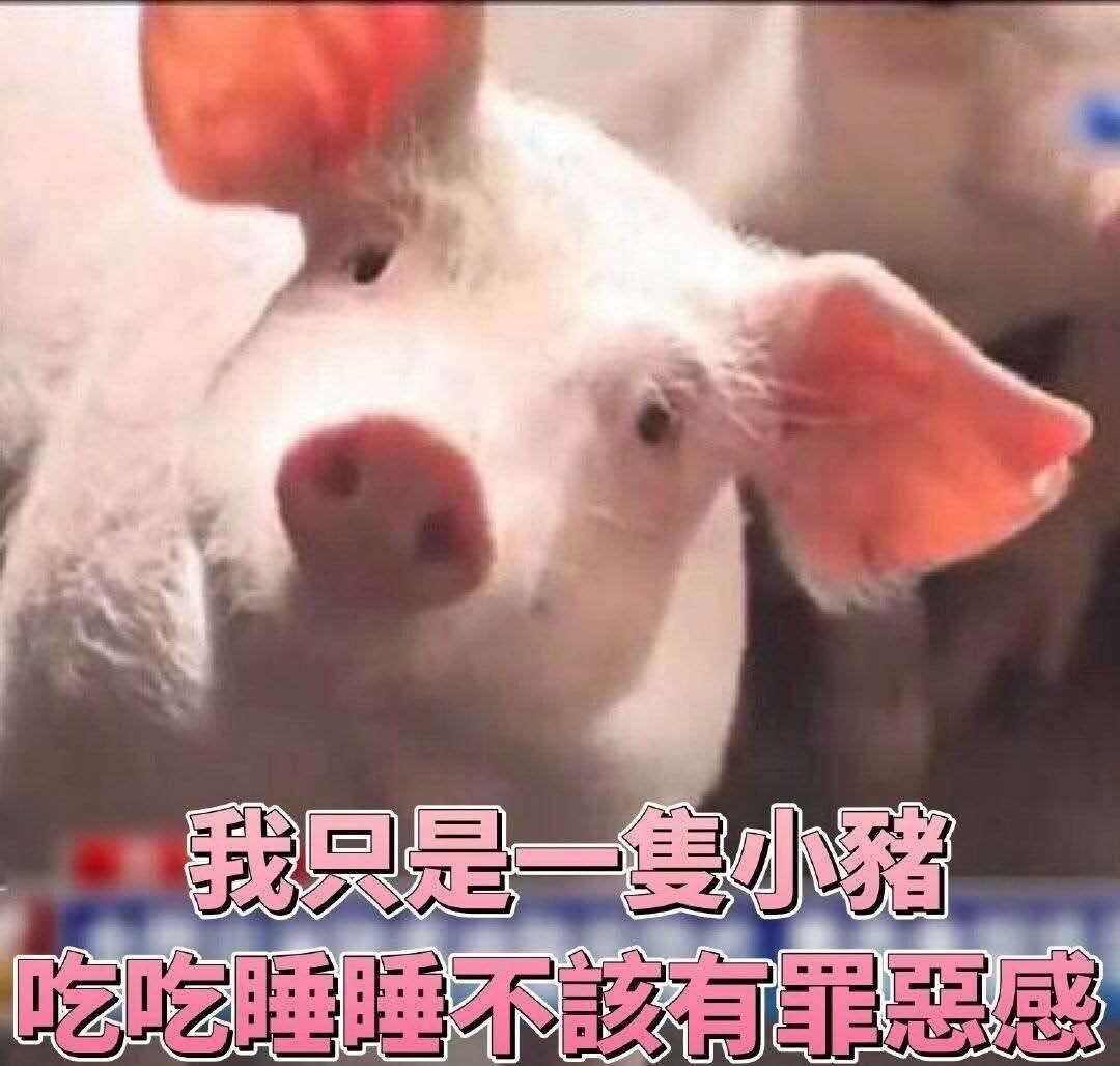 减个屁