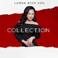 Lương Bích Hữu Colletion