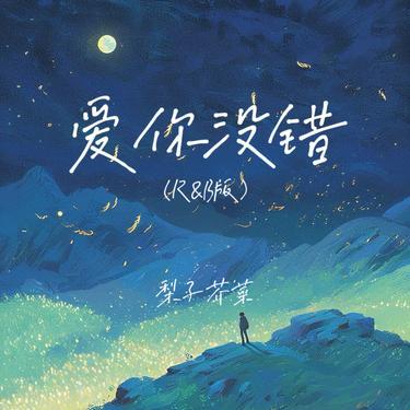 爱你没错 (R&B版)封面