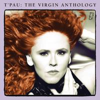 The Virgin Anthology