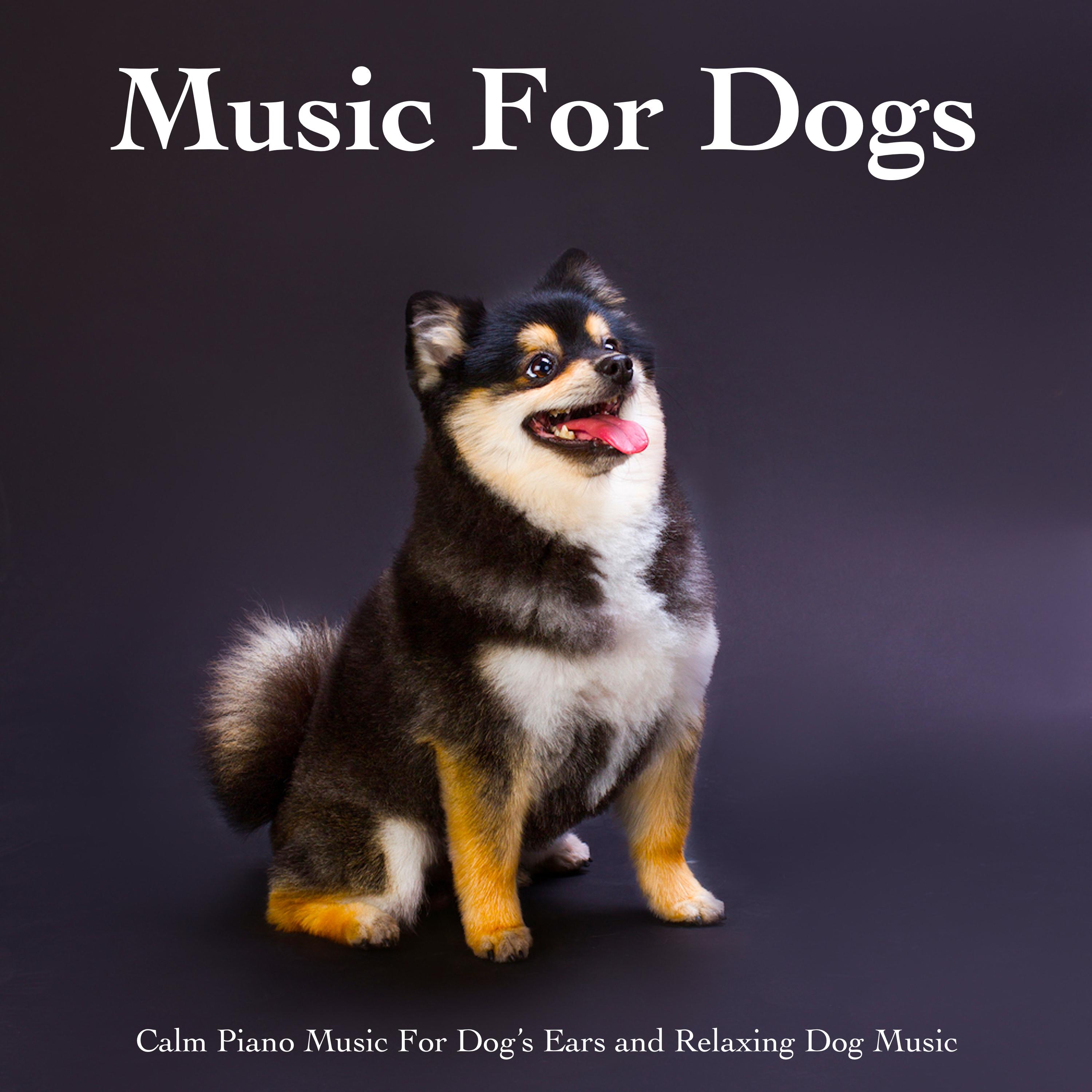 Music for Dogs