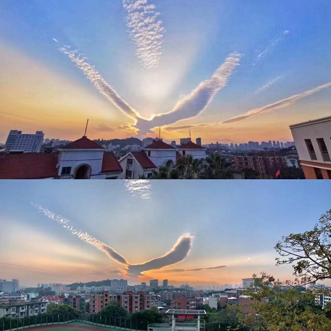 Komorebi（第五人格）