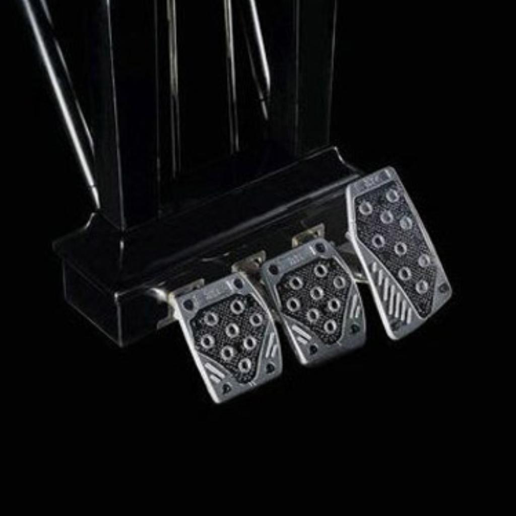 F.F.Chopin | Arthur Rubinstein