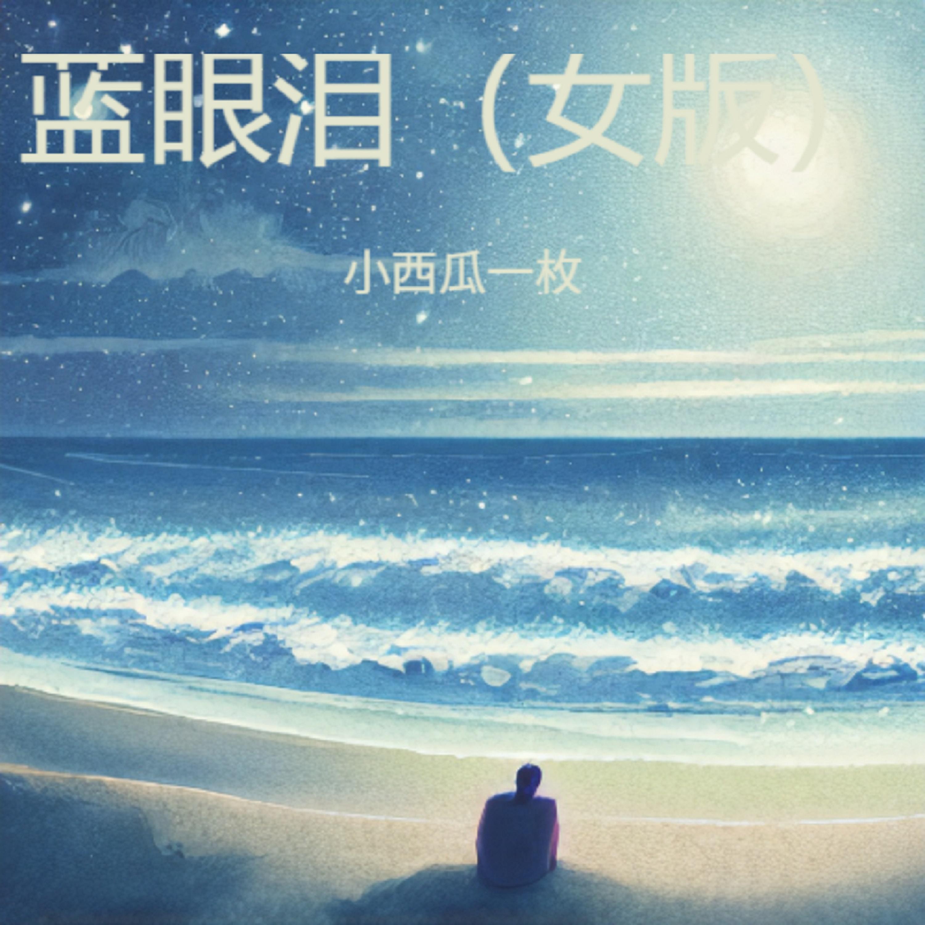 蓝眼泪 (女版伴奏)封面