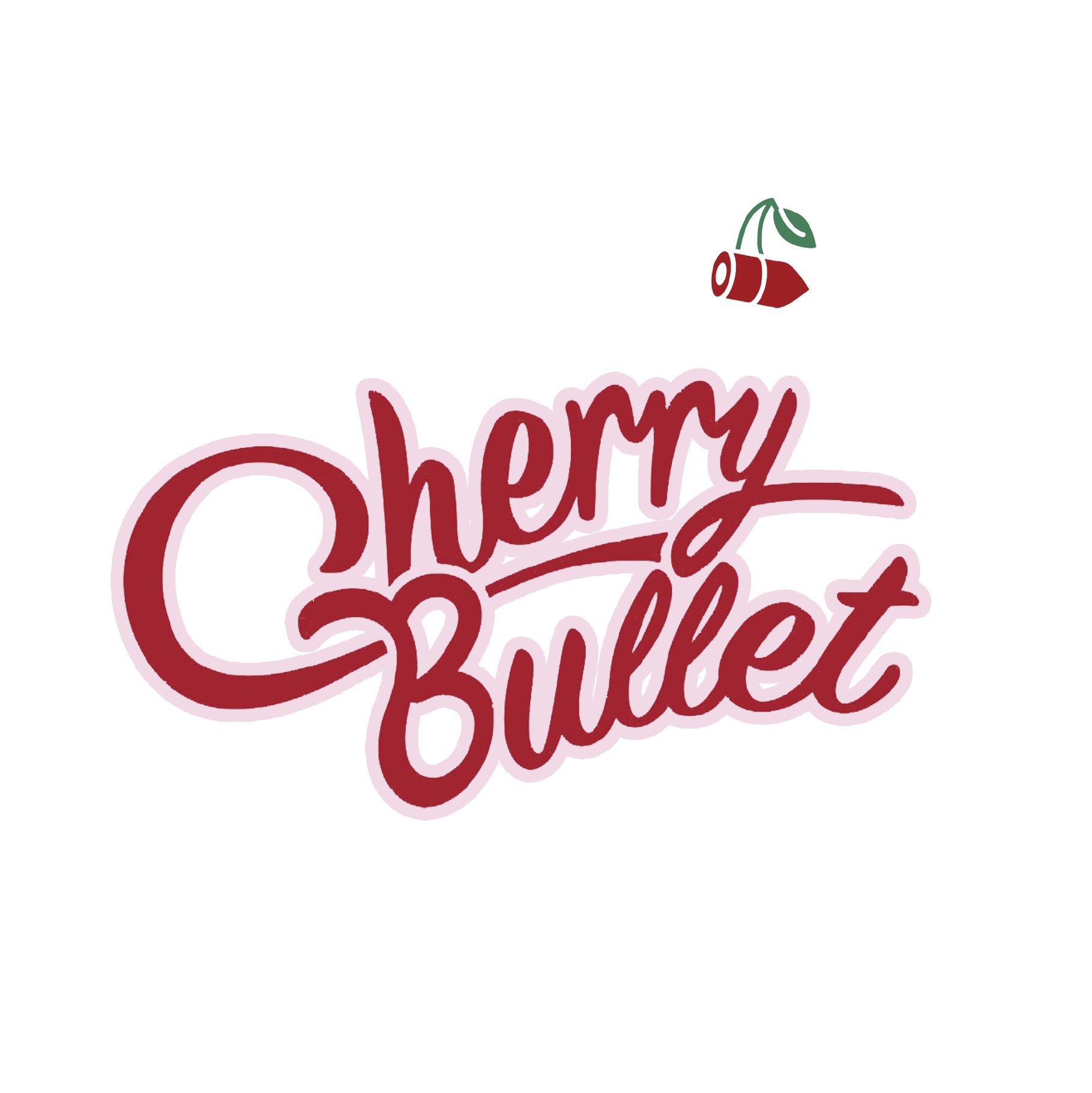 【Cherry Bullet】2019.1.21-2024.4.22