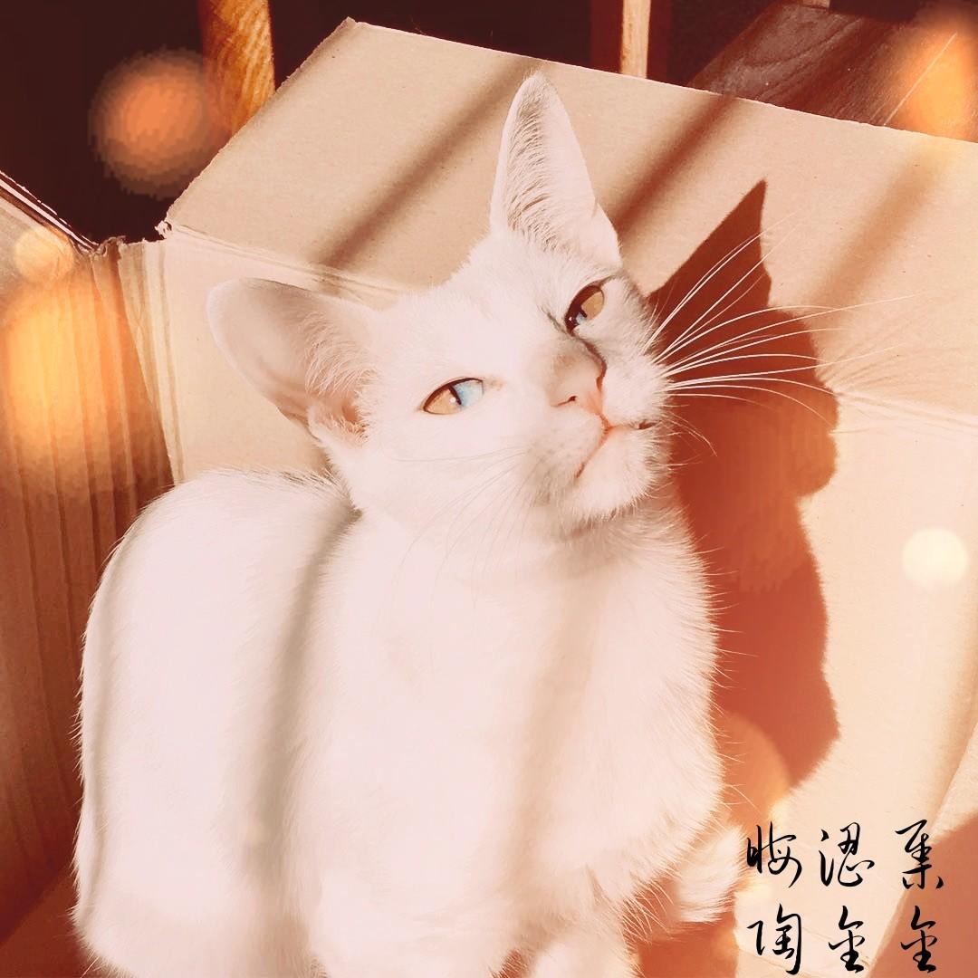 晦涩集封面