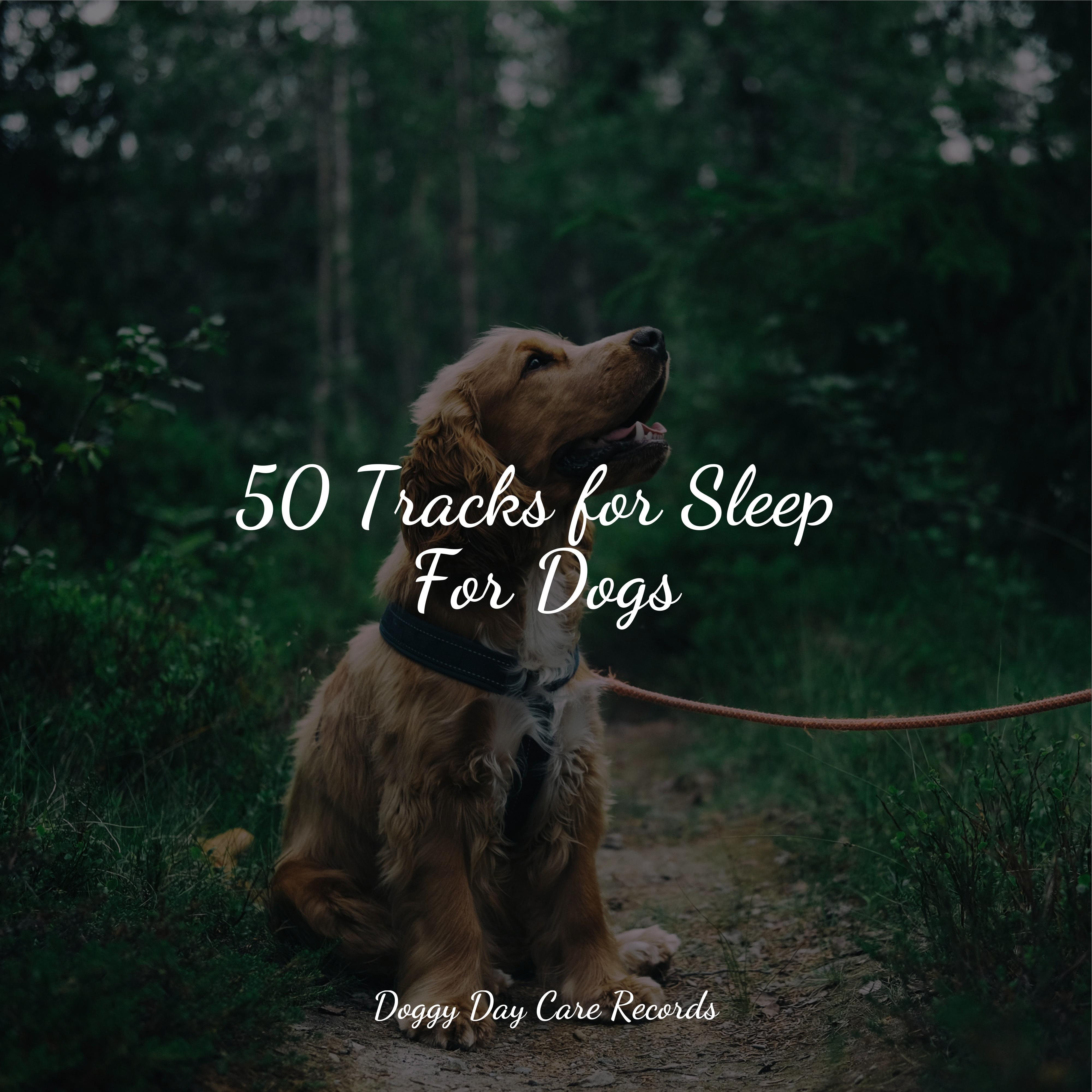 50 Tracks for Sleep For Dogs Relaxmydog 专辑 网易云音乐