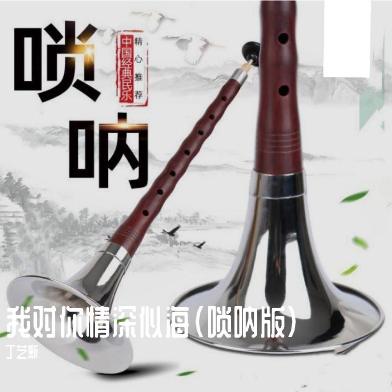 情深似海(唢呐版G调)封面