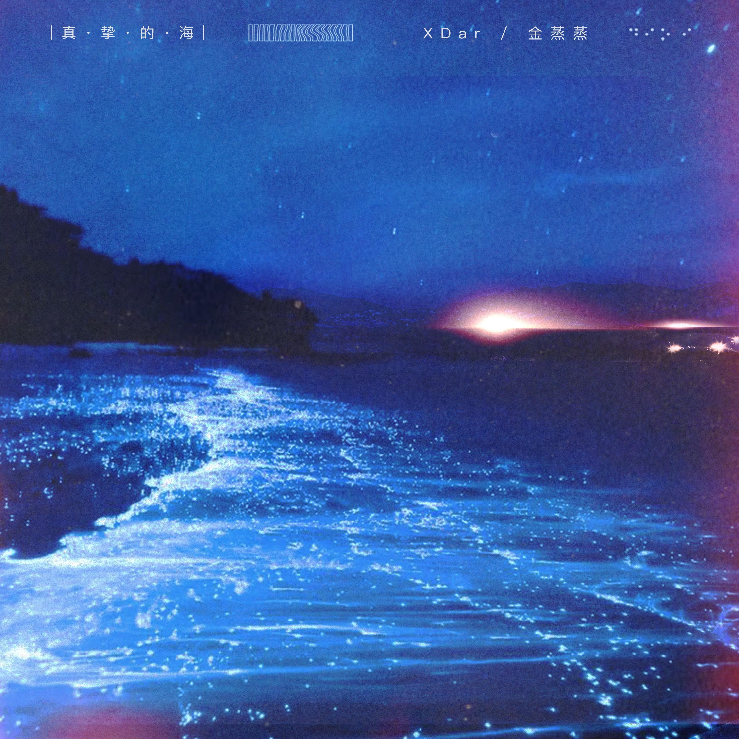 真挚的海封面