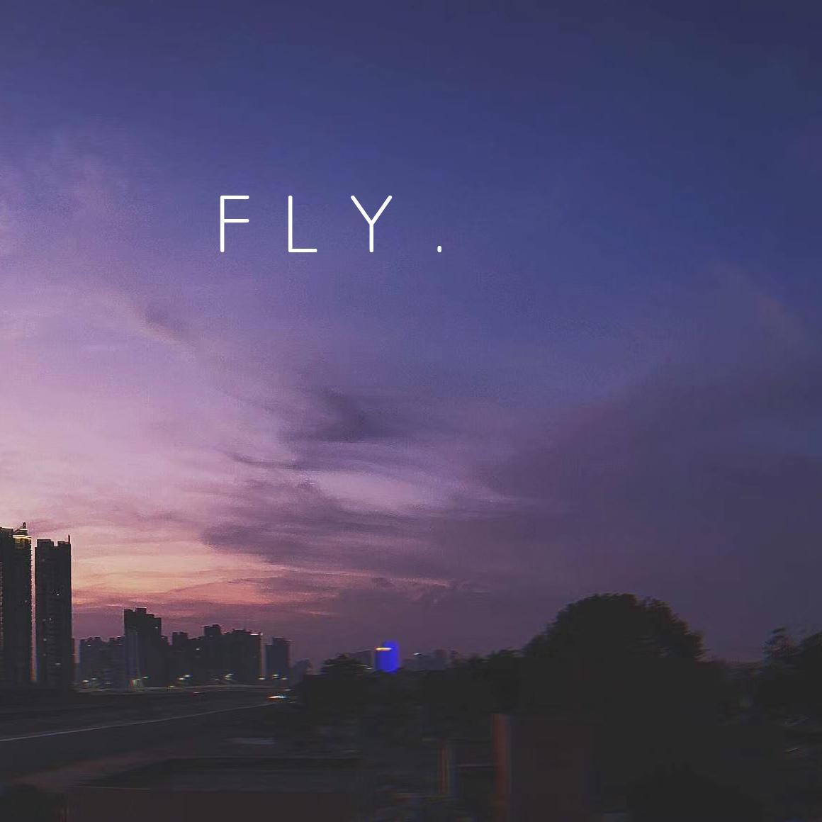 fly.(prod.by 澜)