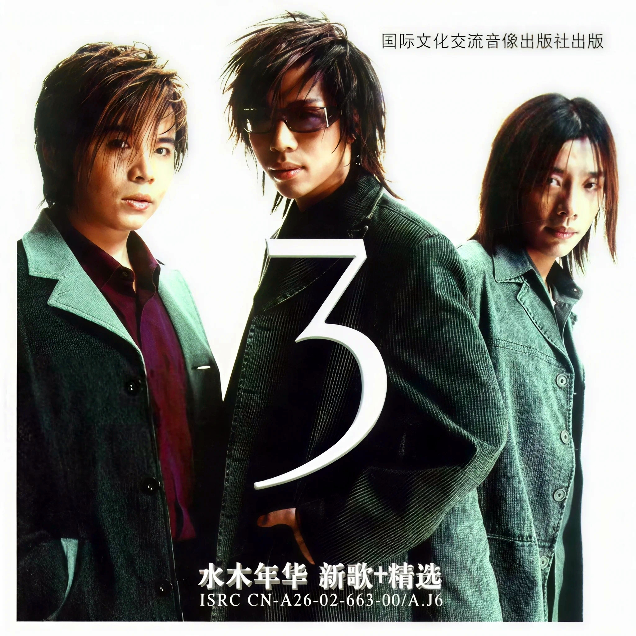 在他乡(乡村摇滚版) - 水木年华封面