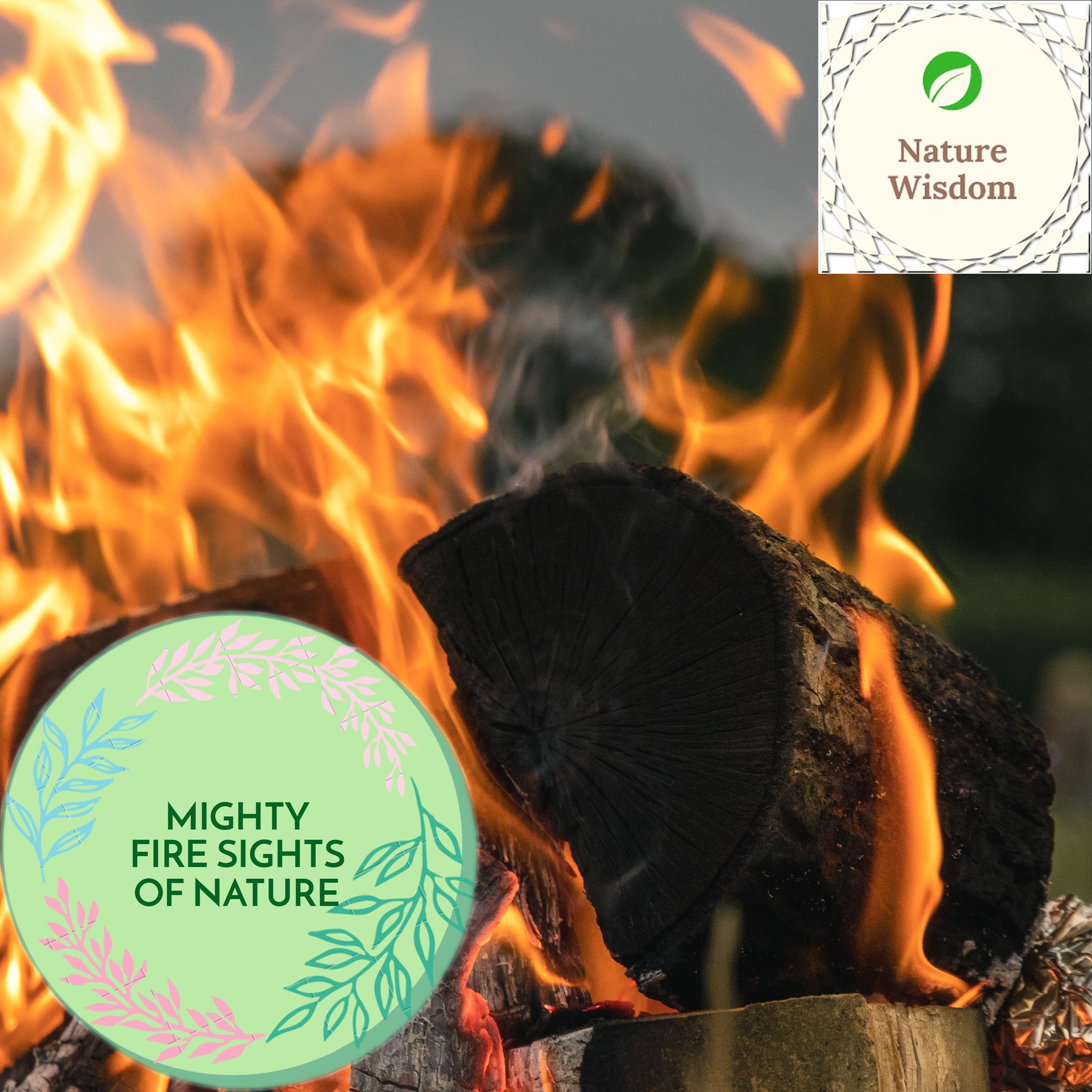 Sleep Steady Campfire