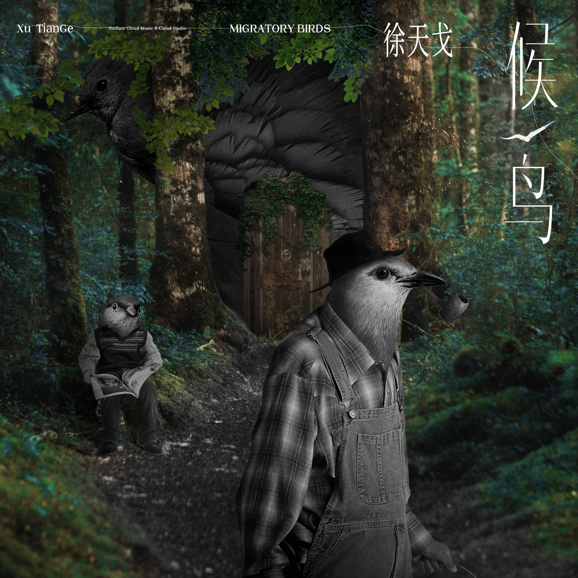 候鸟_徐天戈_候鸟 | 在线播放_候鸟歌词_候鸟下载 | 网易云音乐
