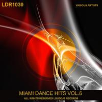 Miami Dance Hits, Vol. 6