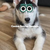 Canine Sunrise Sessions