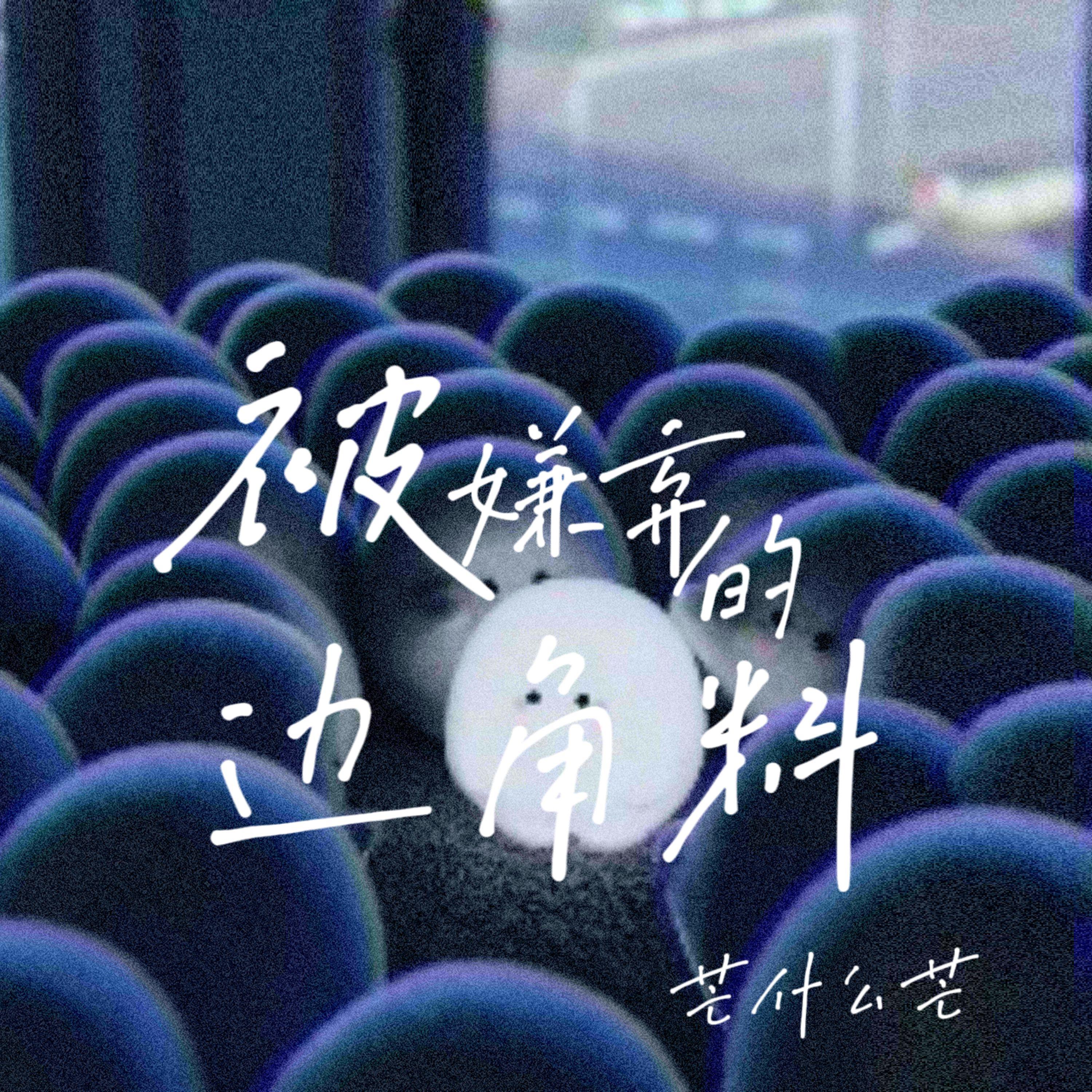 被嫌弃的边角料（伴奏）封面