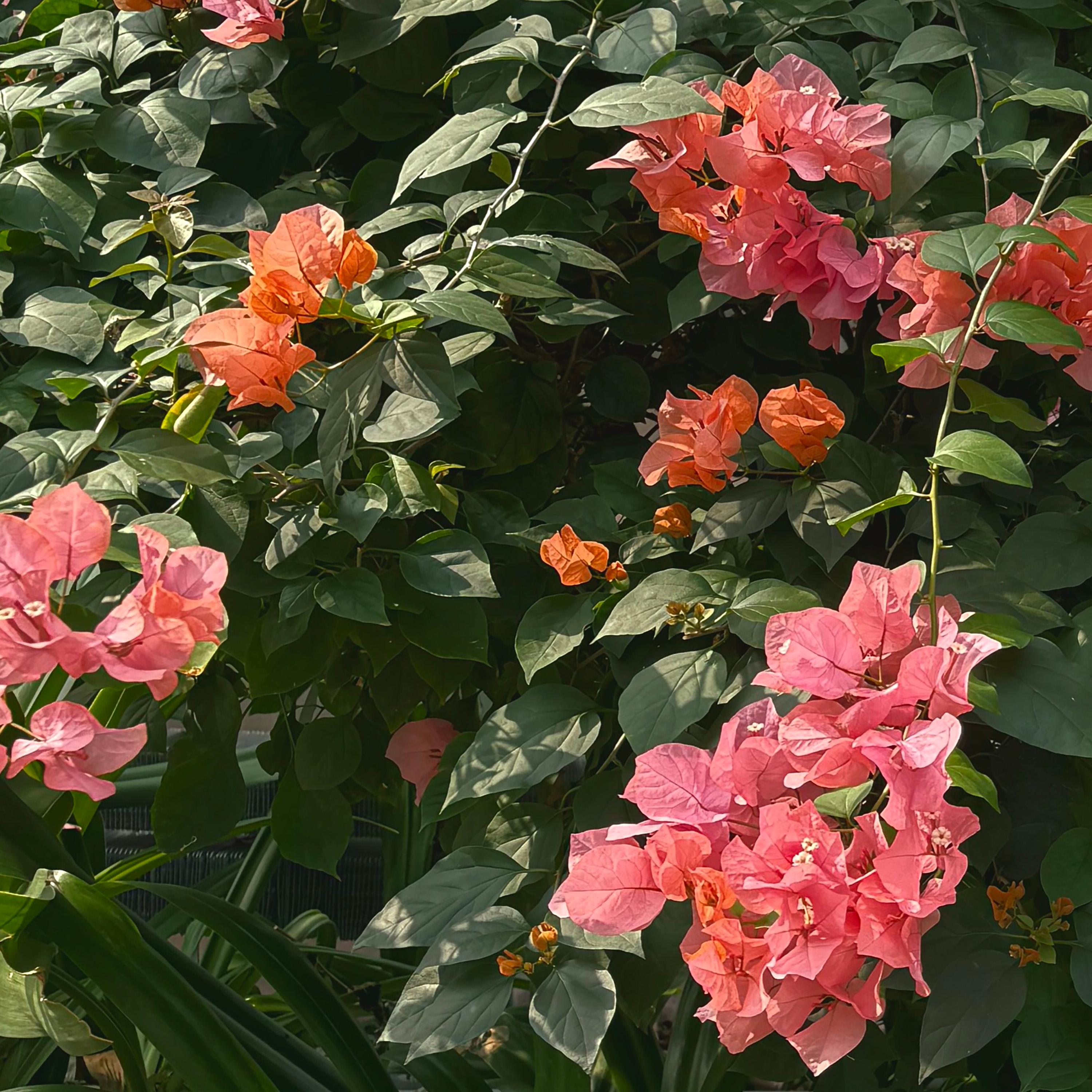 I Want You Too (feat. Sonny Zero)