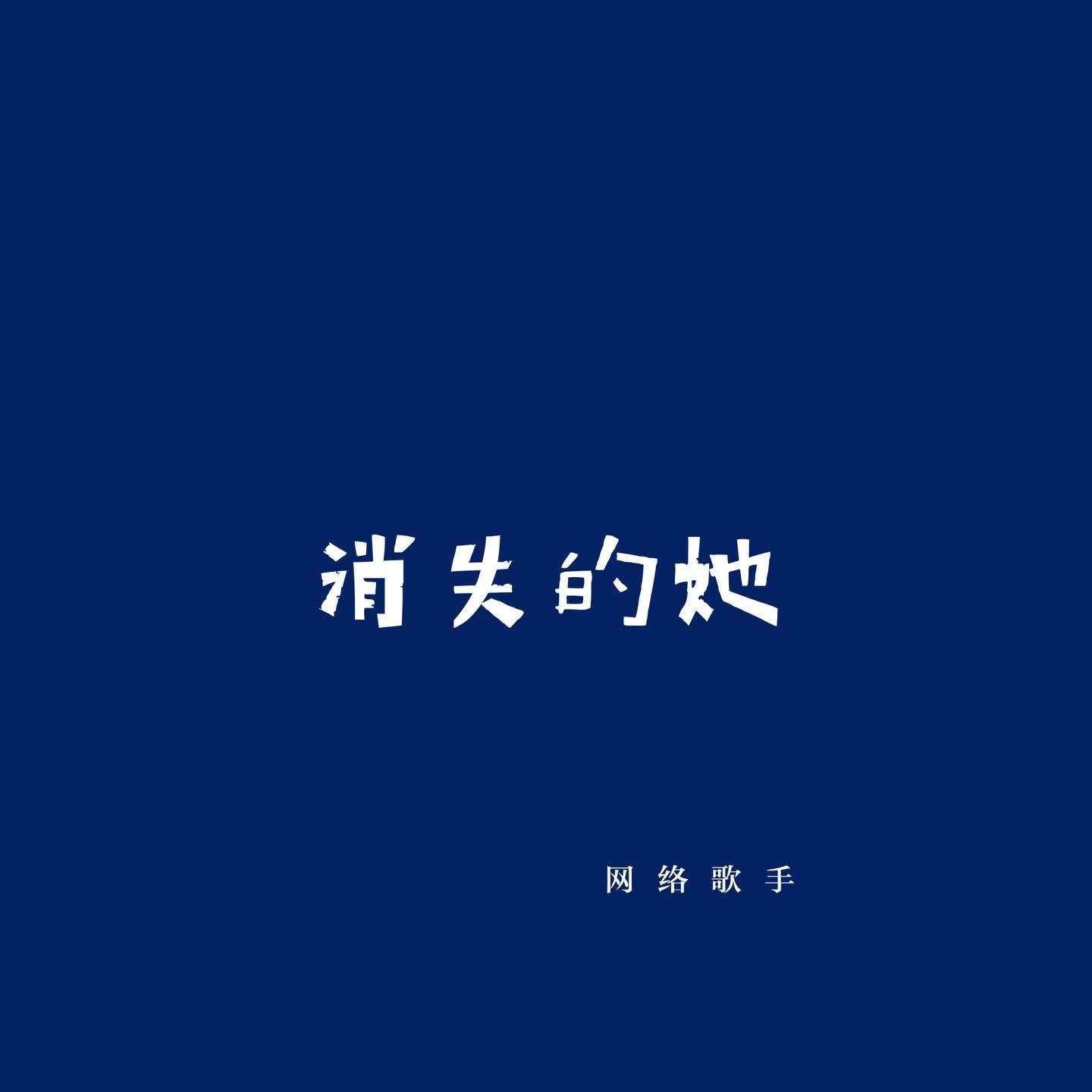 消失的她 - 网络歌手封面