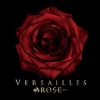 Versailles - ROSE