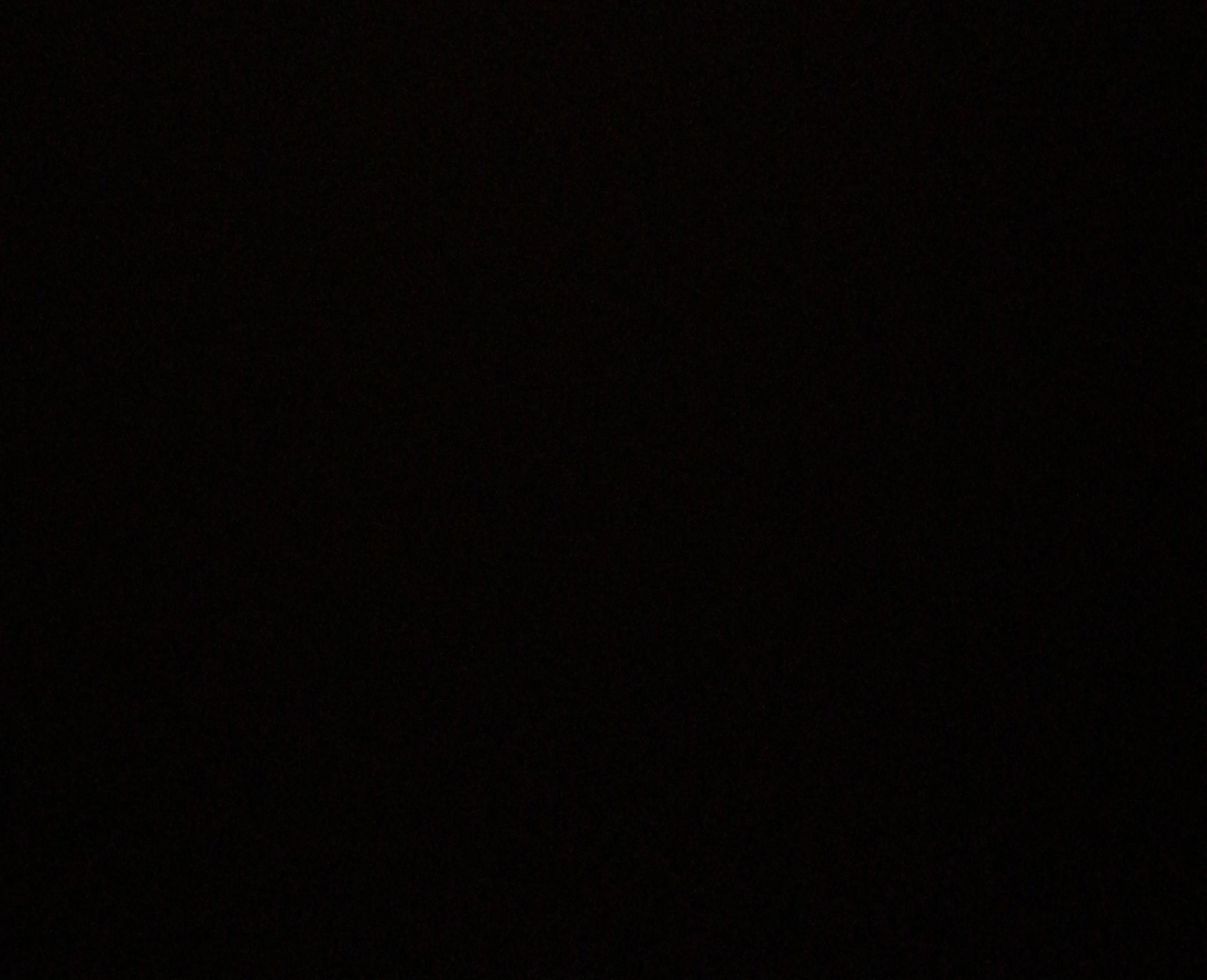 虎亚树