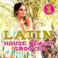 Latin House Beach Grooves Vol.1