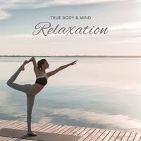 True Body & Mind Relaxation – Soothing New Age Music for Total Rest, Pain Killer, Serenity and Balance, Meditation, Yoga