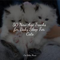 50 New Age Tracks for Baby Sleep For Cats