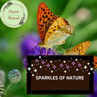 Sparkles of Nature