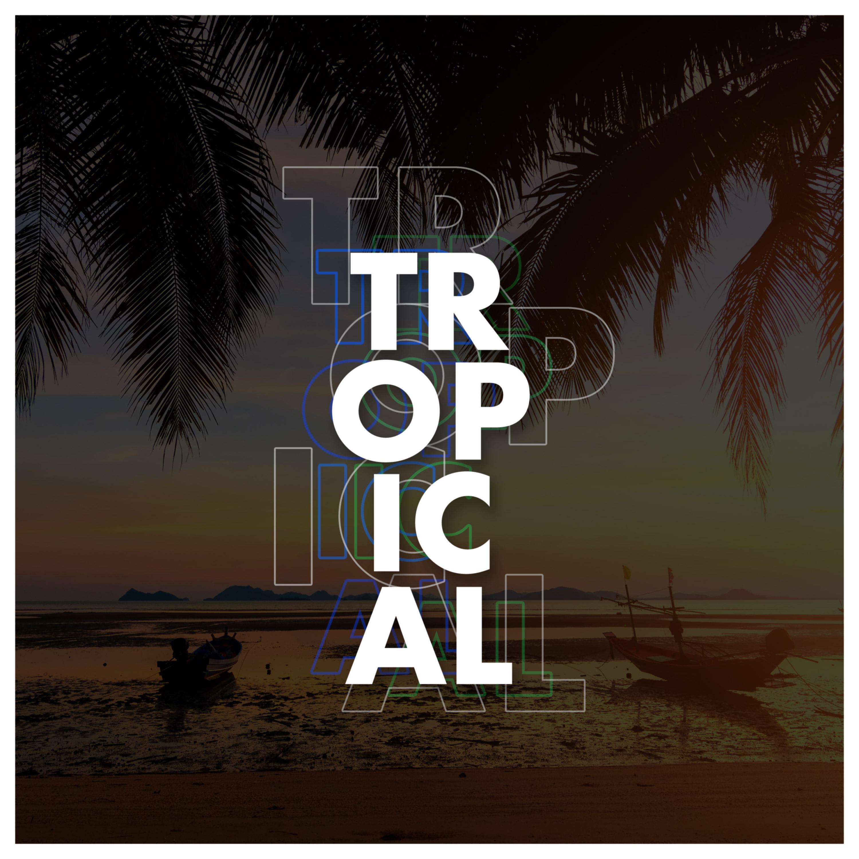 Tropical Deep House 专辑 网易云音乐