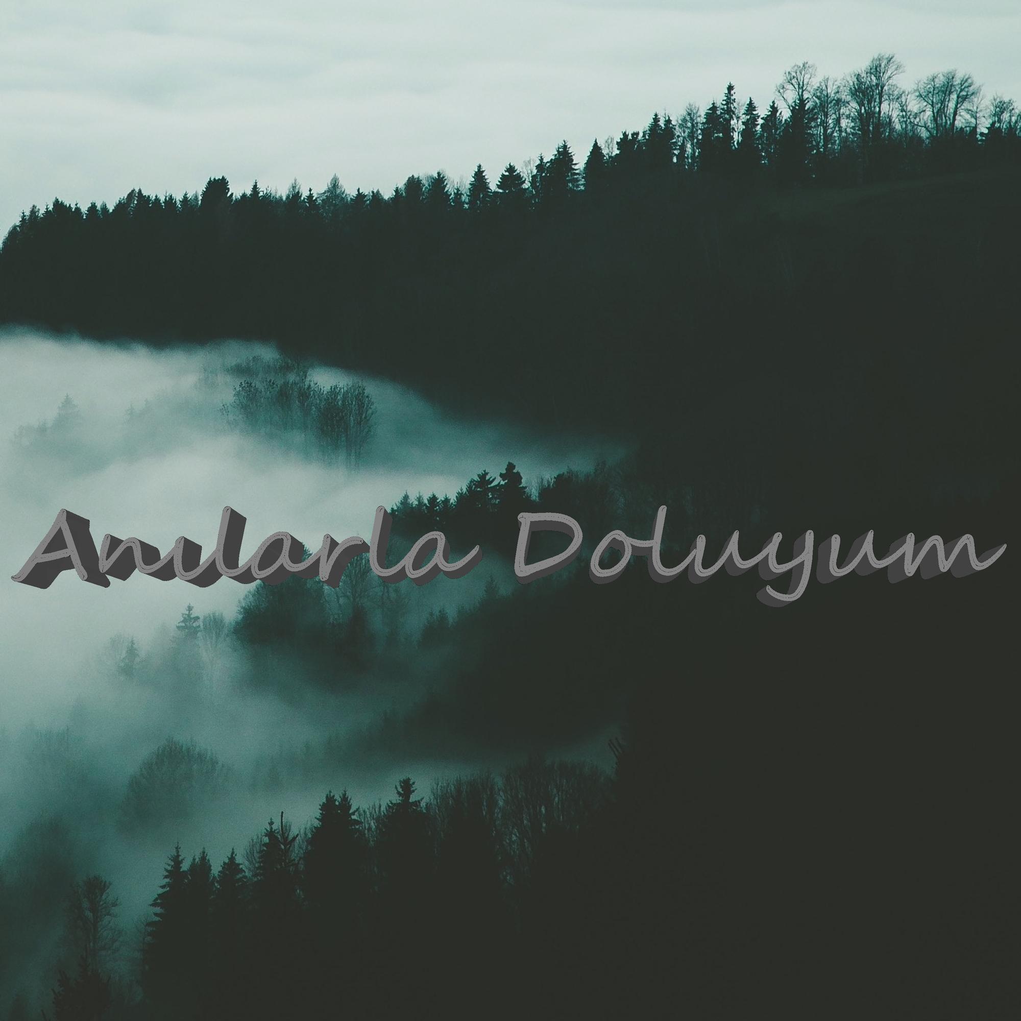 Umut Erhan - Anılarla Doluyum