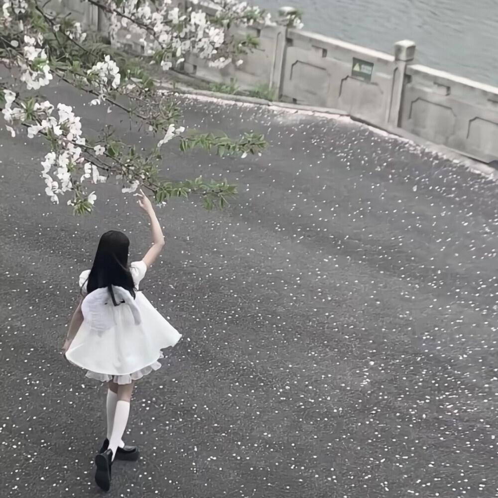 故人叹+落封面
