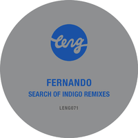 Search of Indigo (Remixes)