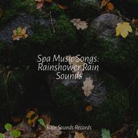 Spa Music Songs: Rainshower Rain Sounds