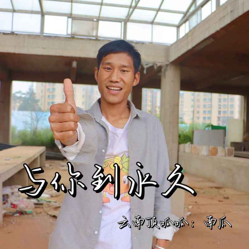 与你到永久 (DJ阿卓版)封面