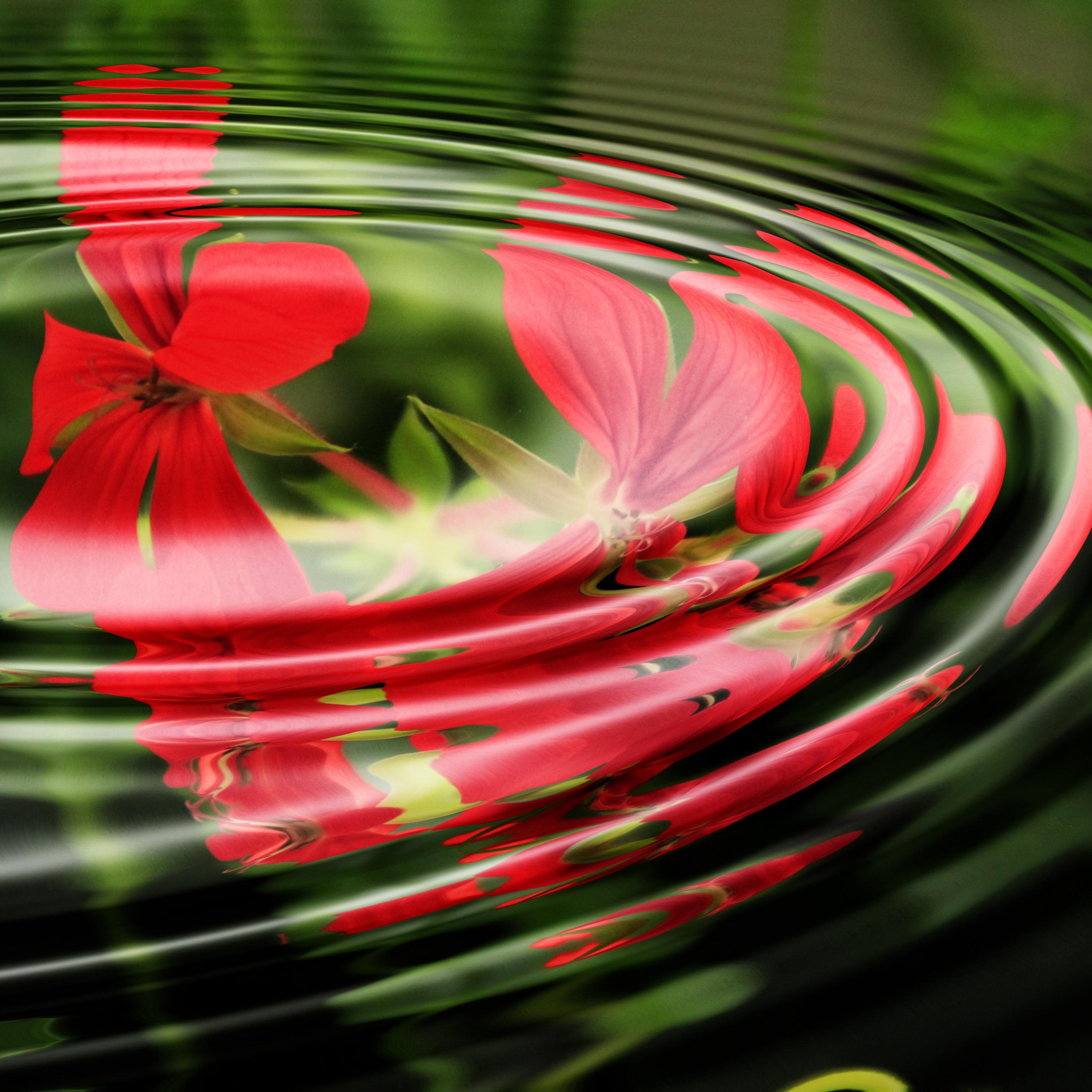 Las Estrellas De Arriba