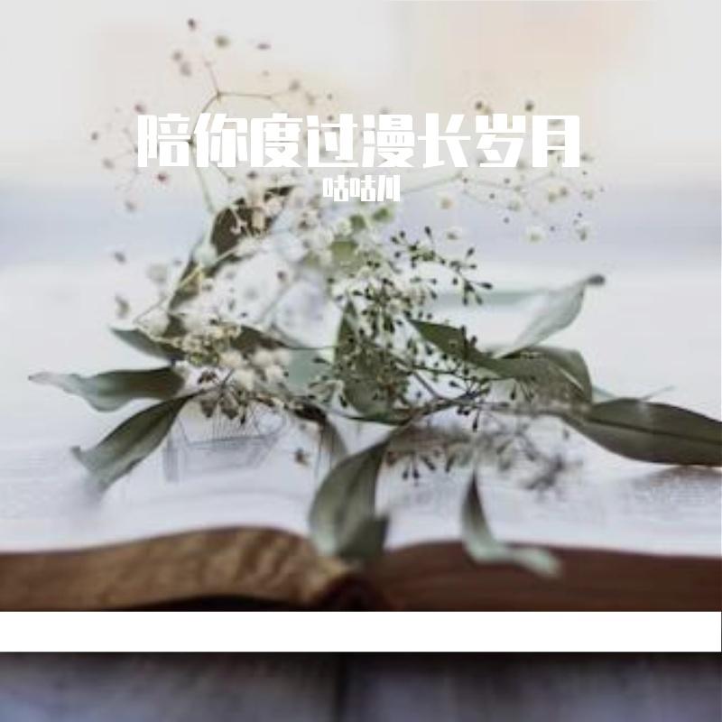 陪你度过漫长岁月封面