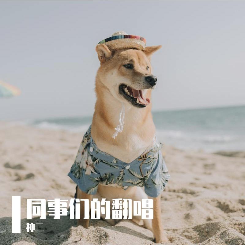 生命的云彩 - 神二封面