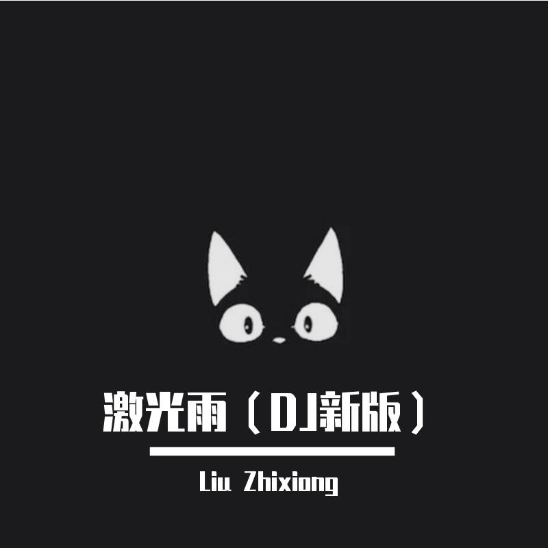 激光雨（2021新版）封面