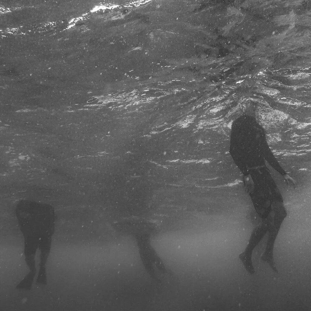 孤独｜小众欧美推荐