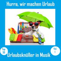 Top 30: Hurra, wir machen Urlaub - Urlaubsknüller in Musik, Vol. 1