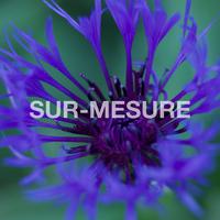 Sur-Mesure